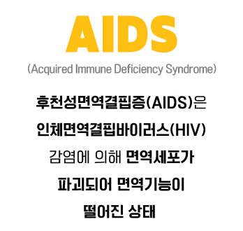 HIV & AIDS 차이 - 감염경로 - 예방 - 치료