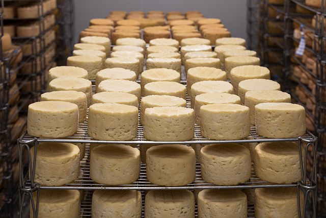 치즈 : 각종 치즈 보관 기간, 치즈 냉장보관, 치즈 곰팡이