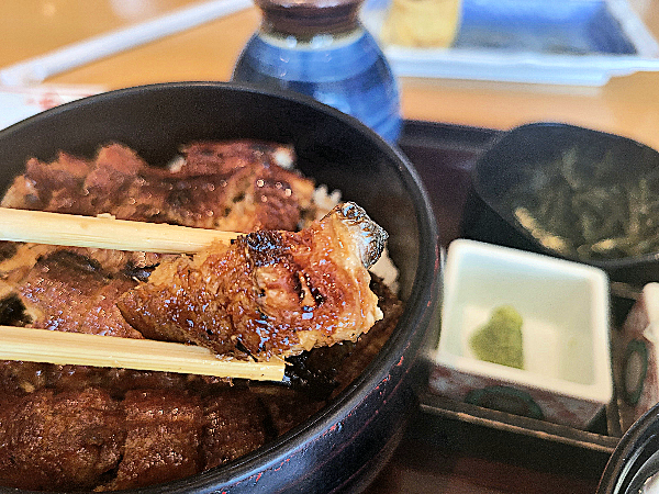 나고야식 정통 장어덮밥을 맛볼 수 있는 도쿄맛집 히츠마부시 빈초 - 마로니에 게이트 점