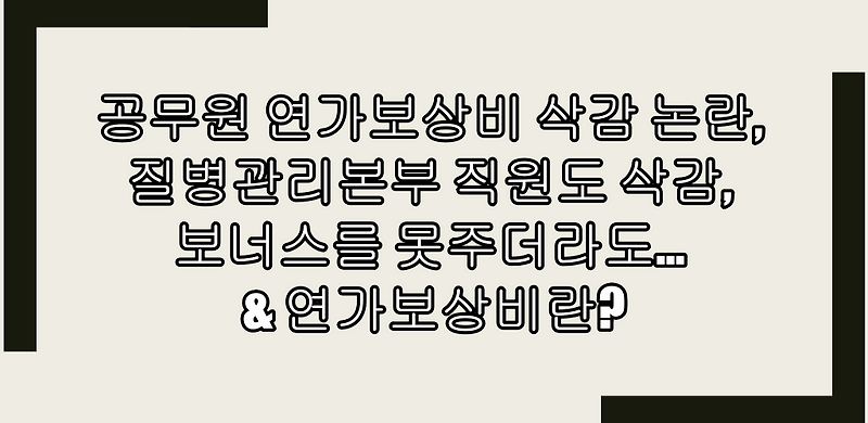 공무원 연가보상비 삭감 논란, 질병관리본부 직원도 삭감, 보너스를 못주더라도... & 연가보상비란?