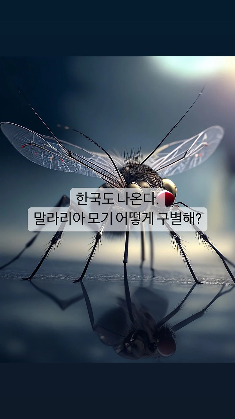 [생활]한국도 위험. 말라리아 구별
