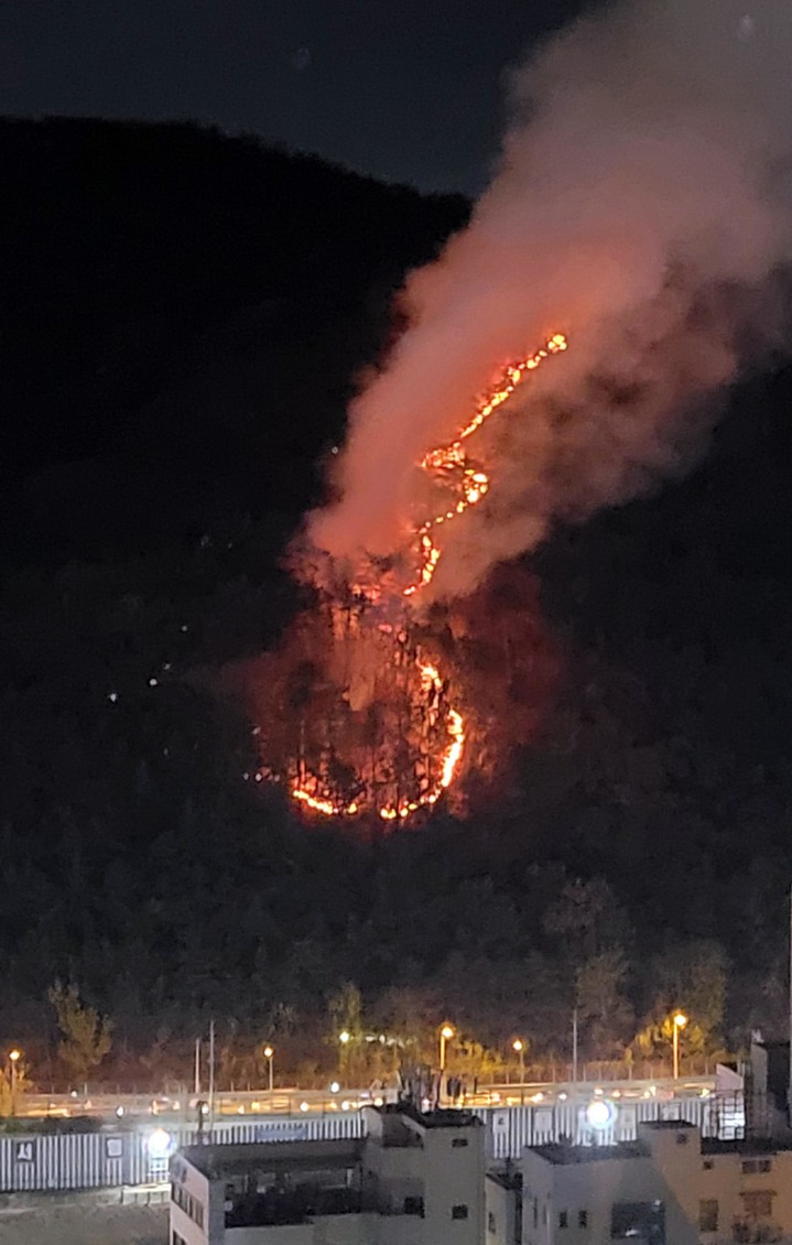 부산 북구 덕천동 산불 발생