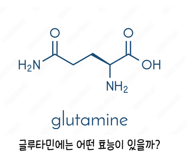 L 글루타민 다양한 효능과 미국영양제소개