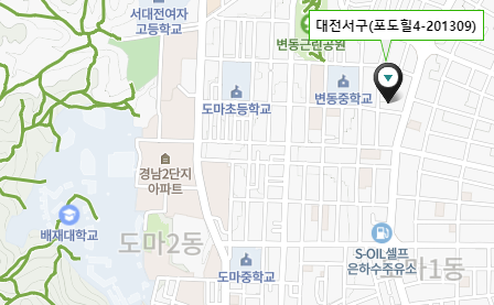 대전광역시 서구 변동 도마로 63번길 30 포도힐5 63번길 34 포도힐4 배재대학교 인근 신축다세대주택 자격완화 동호지정가능 입주자모집공고