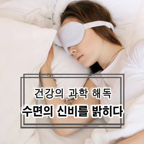 건강의 과학 해독: 수면의 신비를 밝히다