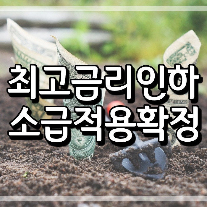 법정 최고금리 인하 20% ( 저축은행, 카드사 대출 소급 적용 여부 )