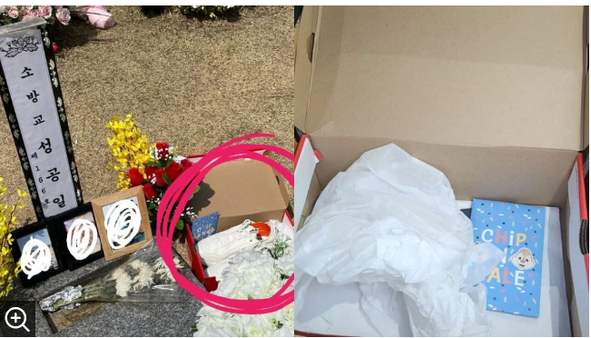 할아버지 구하다 숨진 성공일 소방관 묘소에서 운동화 훔친 여성