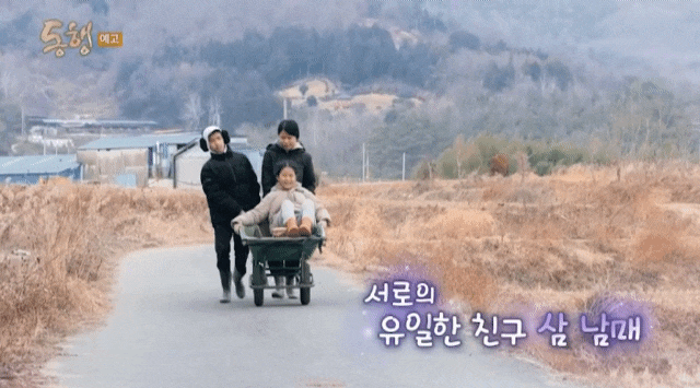 동행 394화 겨울의 햇살, 폐지와 고물 줍는 엄마, 아빠 전라남도 보성 진주 광열이 가은이네 삼 남매