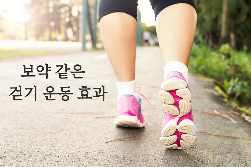 걷기운동, 만보걷기 효과 - 내 몸에 보약같은 운동