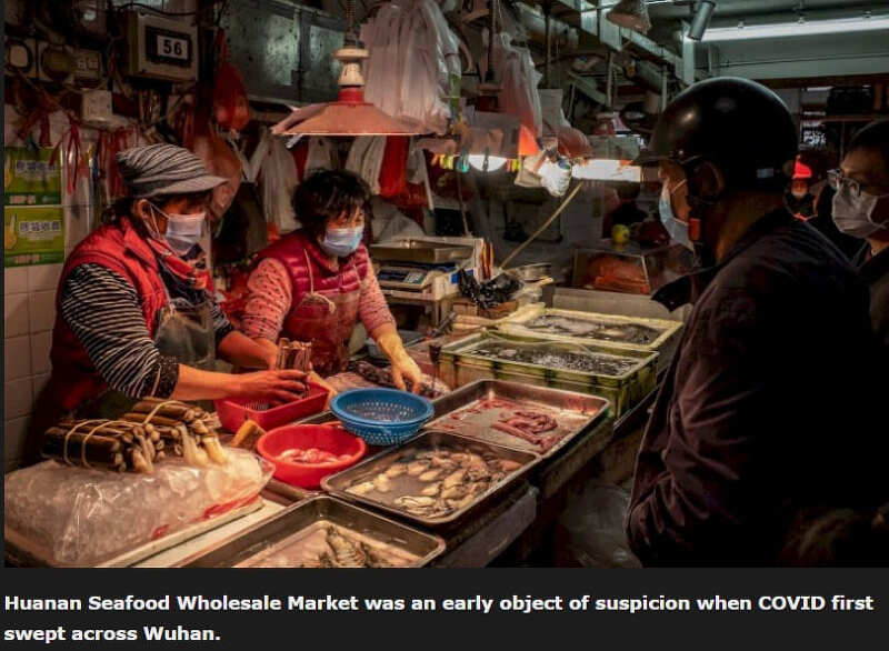 코로나 바이러스 기원..이제 끝날 때 되니 밝혀지네...애리조나대 연구결과 발표 New Research Points to Wuhan Market as Pandemic Origin