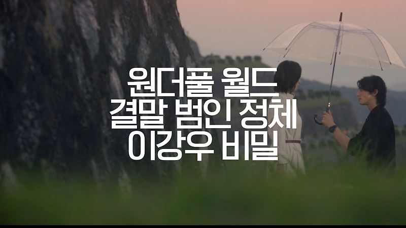 원더풀 월드 원작 결말 범인 정체 김강우 비밀 김남주 차은우