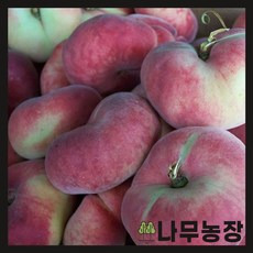 납작복숭아? 달콤하고 아식함. 복숭아종류별판매대잔치 ~