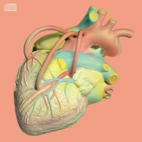 장기하와 얼굴들 내 이름을 불러주세요 듣기/가사/앨범/유튜브/뮤비/반복재생/작곡작사