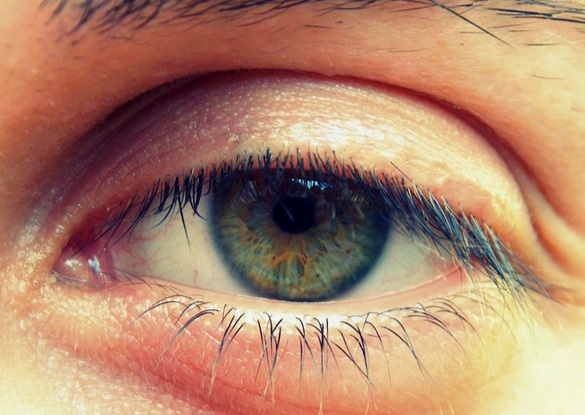 눈 알레르기 결막염 눈알 부음 증상 원인 및 예방 알아봅시다