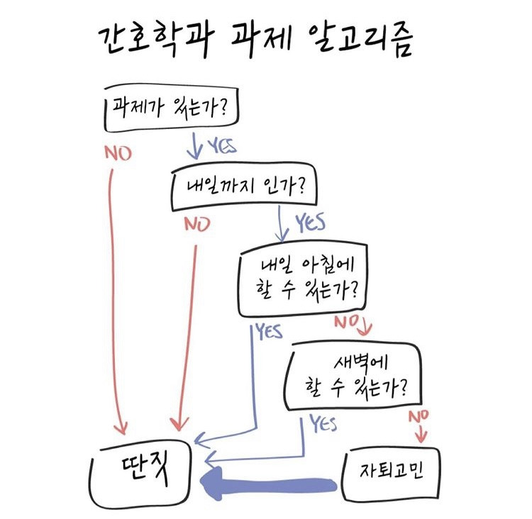 간호학과 과제 알고리즘