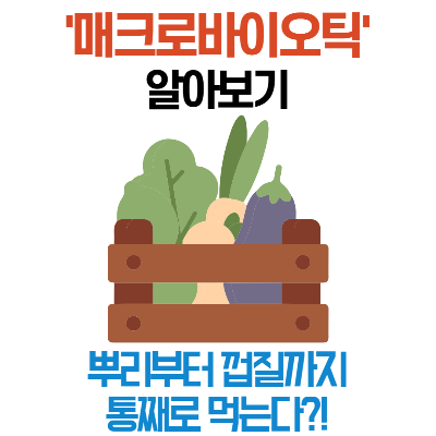 '매크로바이오틱' : 뿌리부터 껍질까지 통째로 먹는다?!