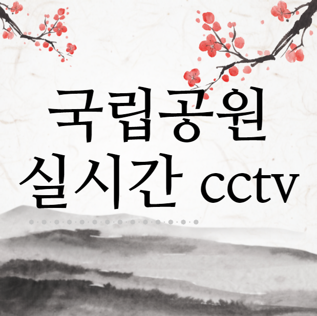 국립공원 실시간 cctv (모바일)