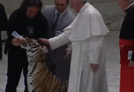 교황을 두려워 하는 호랑이...왜 VIDEO:Pope Francis pets a tiger which tries to bite him during carnival