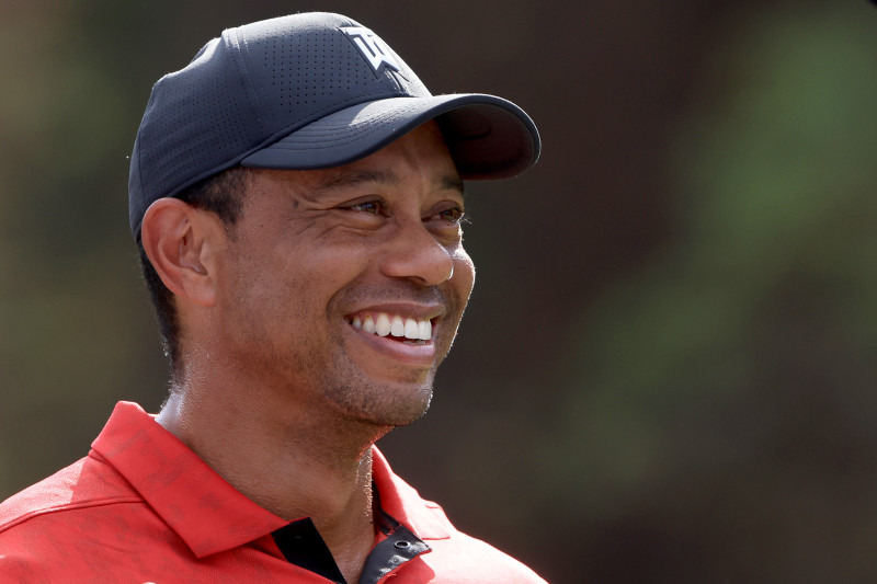 사기 캐릭터 '타이거 우즈 Tiger woods'