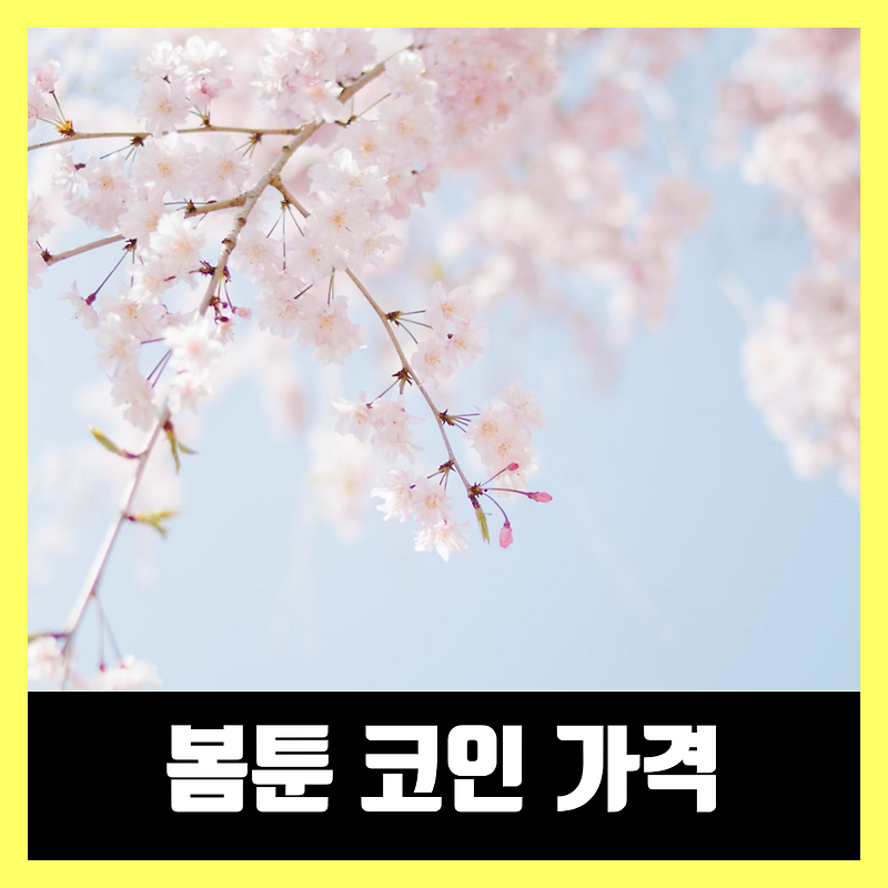 봄툰 코인 가격, 코인 환불 방법