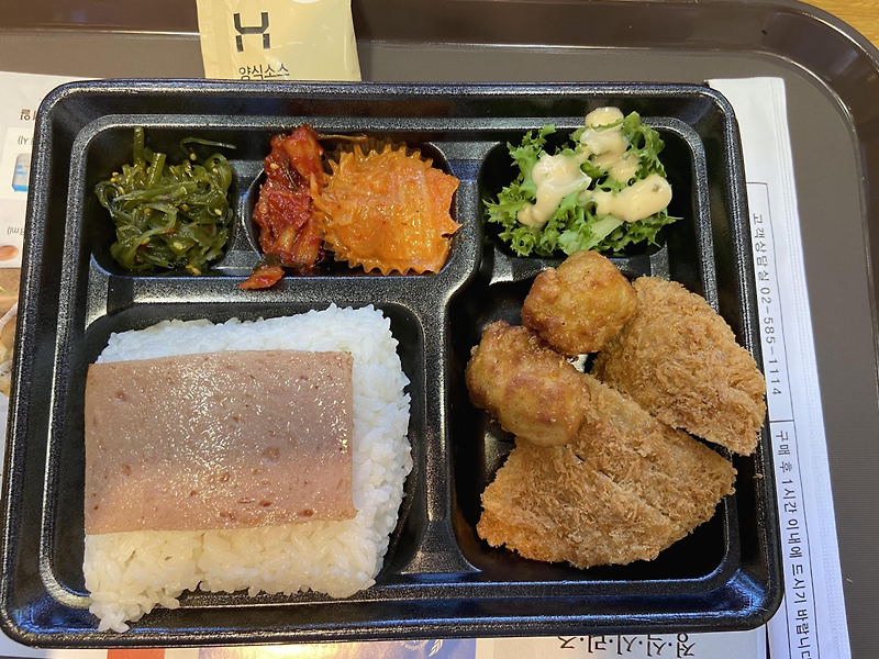 [내돈내산]한솥도시락 알차고 든든한 도시락 맛집추천 / 착한가격 미친가성비 생생리뷰