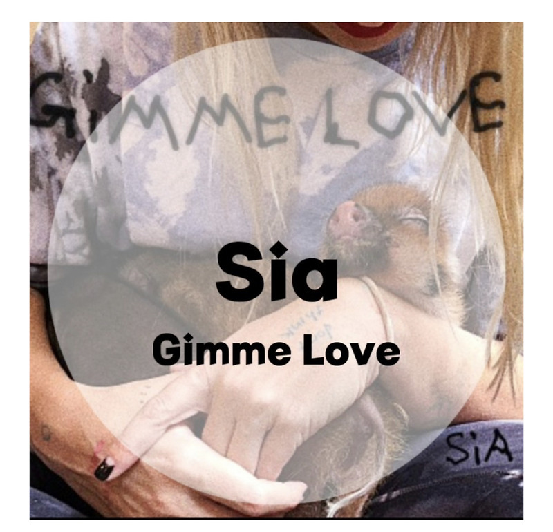 : Sia : Gimme Love (가사/듣기/Official Lyric Video)