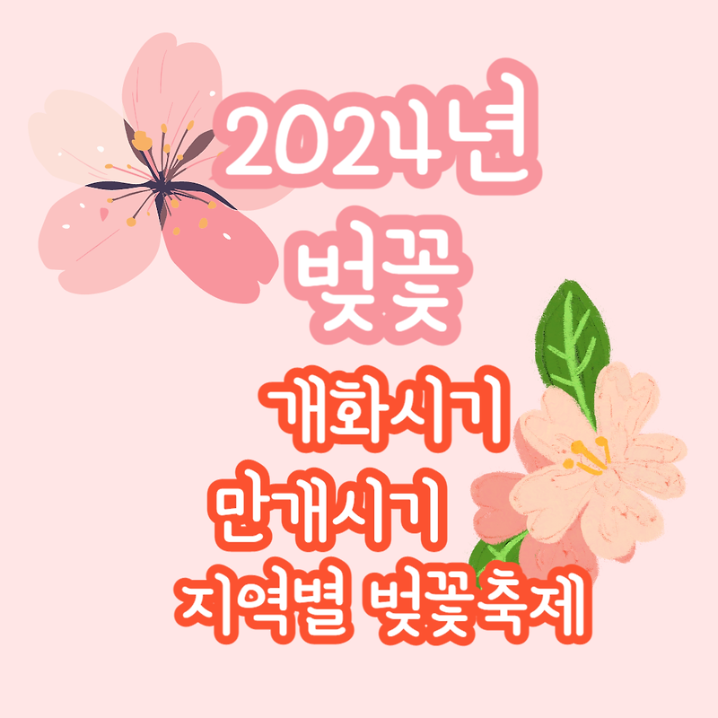 2024년 벚꽃 개화시기 만개시기 지역별 벚꽃축제