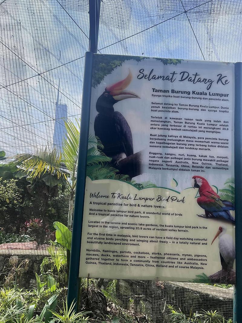말레이시아 직장인 라이프 - 버드 파크 bird park in KL