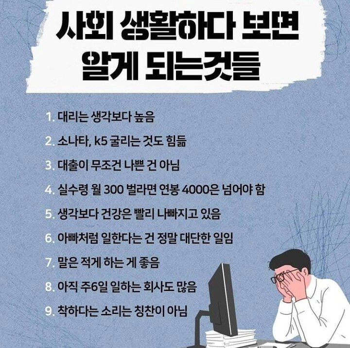 사회생활의 현상과 원칙