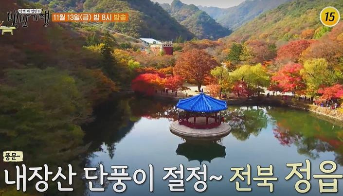 허영만 백반기행 정읍 우렁이쌈밥정식 우렁이초무침 청국장 식당 내장산 맛집