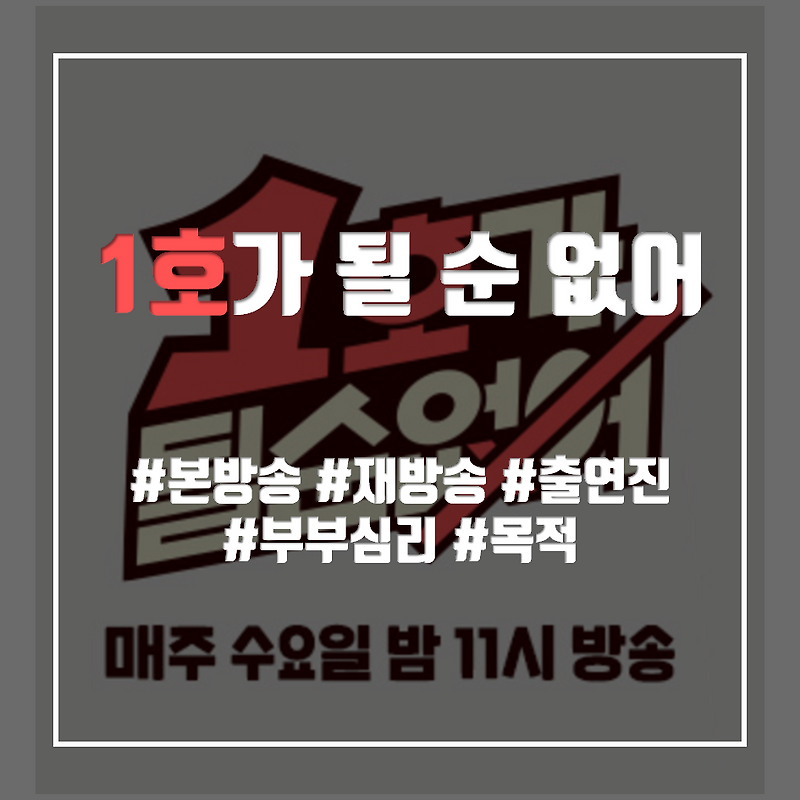 1호가 될 순 없어 (방송일, 목적, 재방송, 출연진, 부부심리)