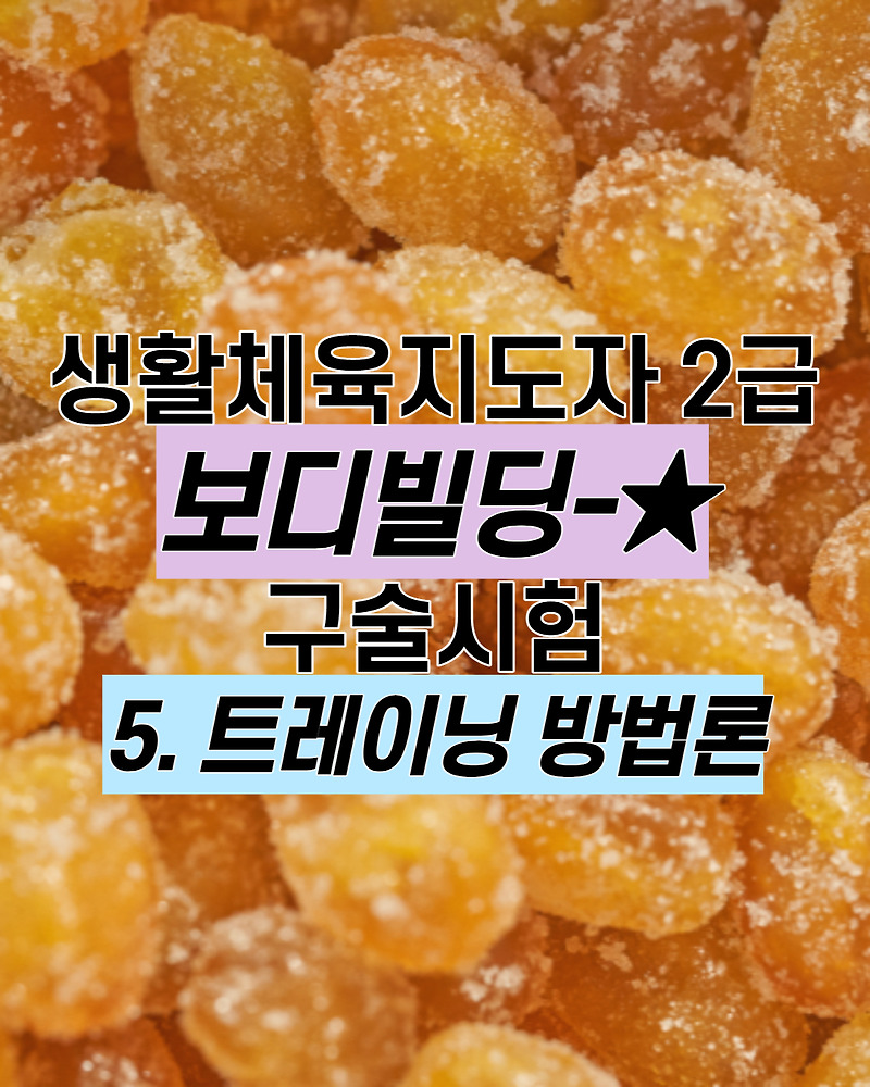5) 트레이닝 방법론 : 생활체육지도자 2급 보디빌딩 구술시험 예상문제/기출문제/정리본/무료 ^ㅡ^)/