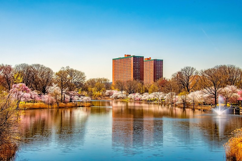 Exploring Newark with BTS: A Travel Guide for ARMY
