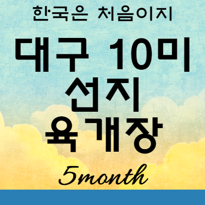 어서와 한국은처음이지 빌푸 대구 10미 선지 육개장 맛집 : 대구 중구 교동따로식당