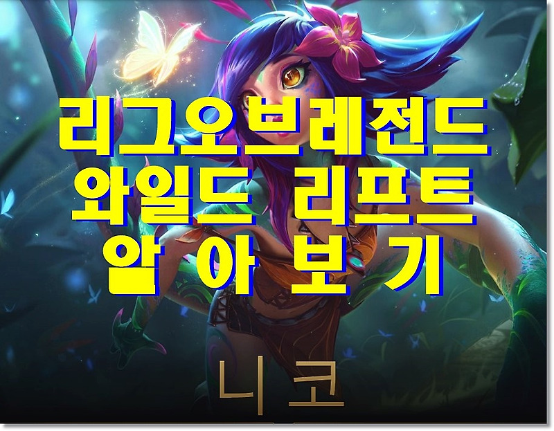 롤 와일드리프트 꿀팁 대방출 무려 5가지
