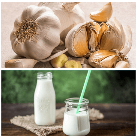 마늘 우유 효능과 부작용 / 레시피와 섭취 방법