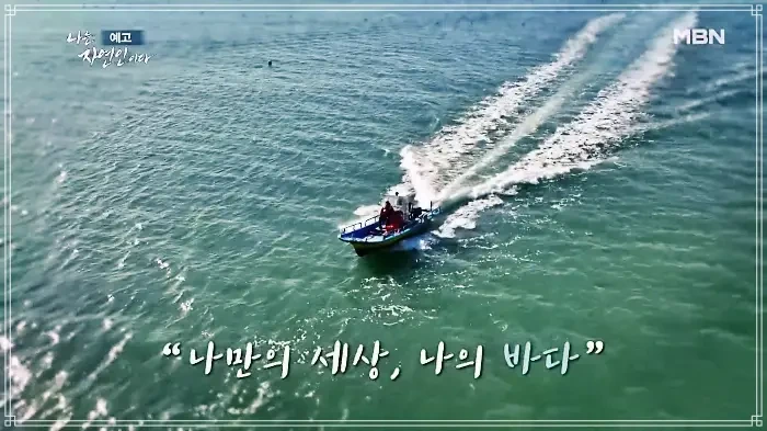 나는 자연인이다 선상 낚시 해물라면 우럭회 홍합 석화 더덕 해신탕 겨울바다 미식회 자연인 이원영 개그맨 이승윤 출연 584회 다시보기