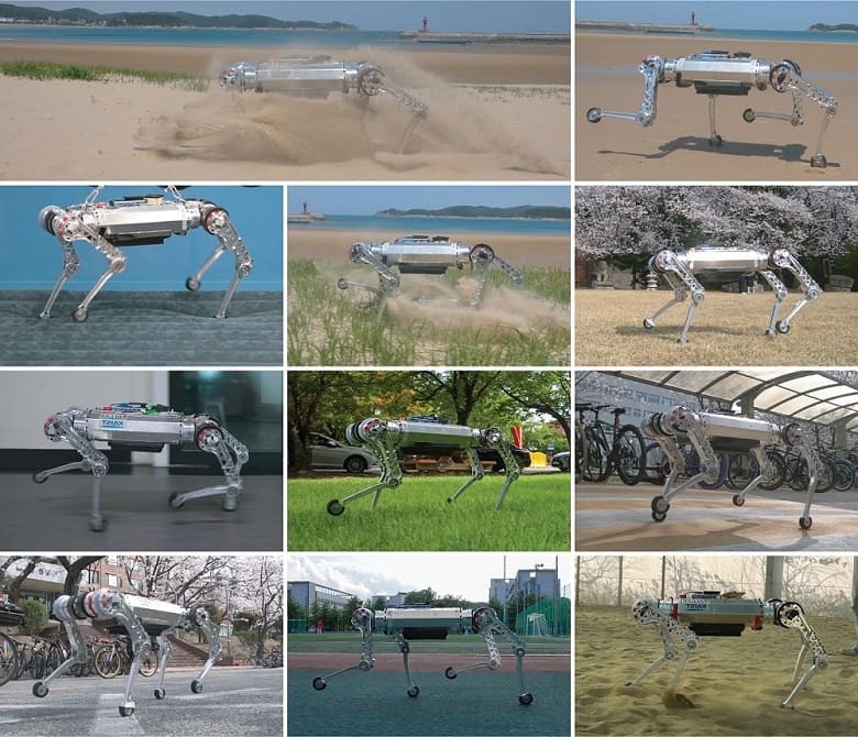 해변을 거침없이 달리는 ‘라이보’ 로봇...카이스트, 사족 로봇 제어기술 개발