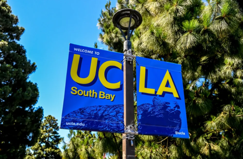 [UC Transfer] UCLA 편입분석