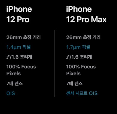 아이폰 12 pro max