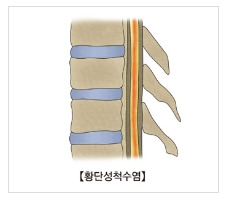 의학한림원, 