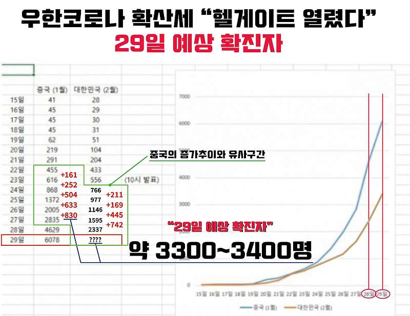 코로나 확진자 증가율  29일, 3월 1일 예상 확진자 수, 