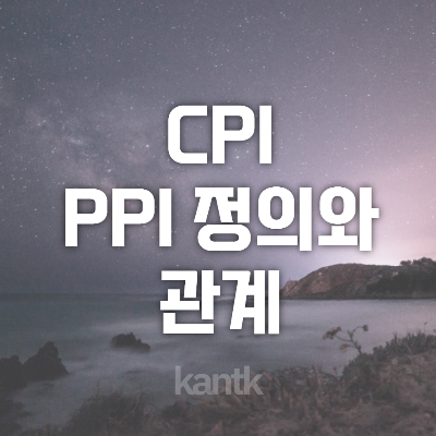 CPI, PPI의 정의와 관계