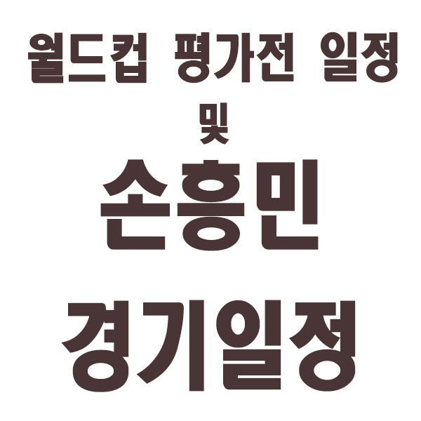 한국 축구국가대표 손흥민 경기일정 월드컵이다