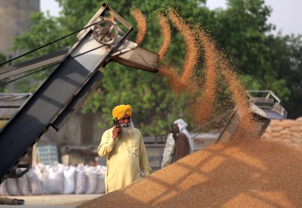 인도 ‘식량 무기화’ 밀 수출 전격 금지 라면값 상승 이러다 라면도 못 먹겠네 전 세계 밀 수출량의 30%를 차지하는 러시아 국제 밀 가격은 전년보다 40%가량 급등