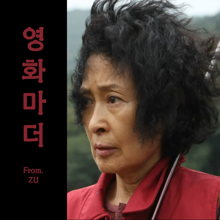 한국 영화 <마더 2009> 해석 결말 - 반 쪽 짜리 진실