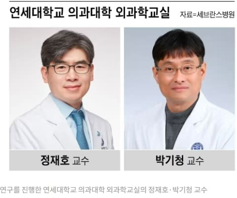 암 재발‧전이 치료 효과 '선도물질' 국내 연구진 개발