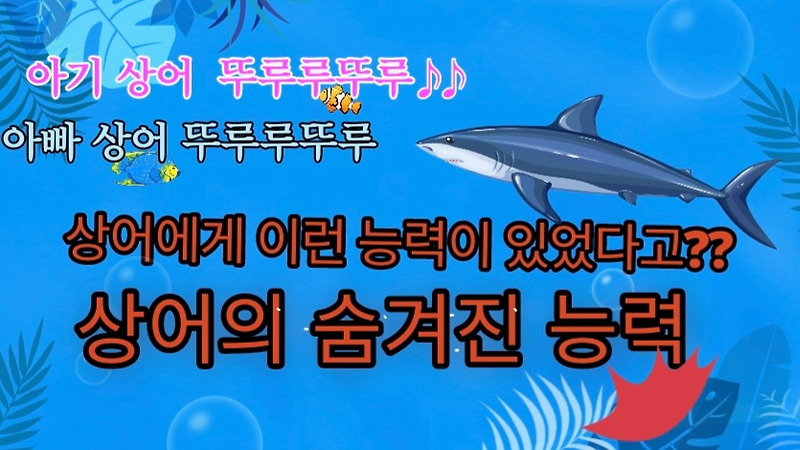 우리가 몰랐던 상어의 엄청난 능력??feat.생체공학
