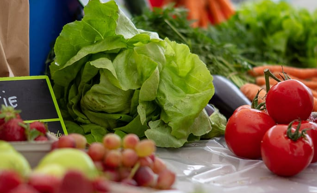 다이어트와 건강: 식물성 지방의 효과
