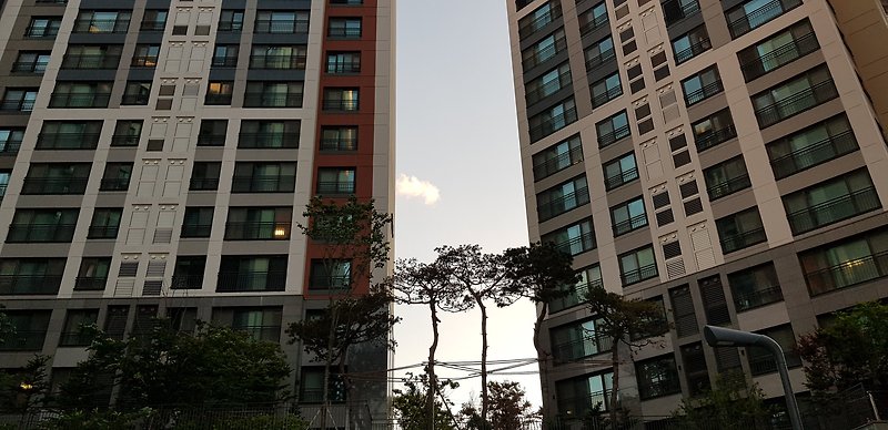 건설워커 랭킹 2022년 6월 건설사 취업인기순위